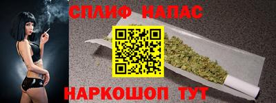шишки Заводоуковск