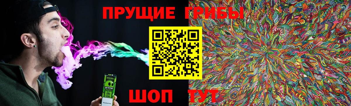 Псилоцибиновые грибы прущие грибы  Вход с VPN  Лянтор  Галлюциногенные грибы Psilocybine cubensis 
