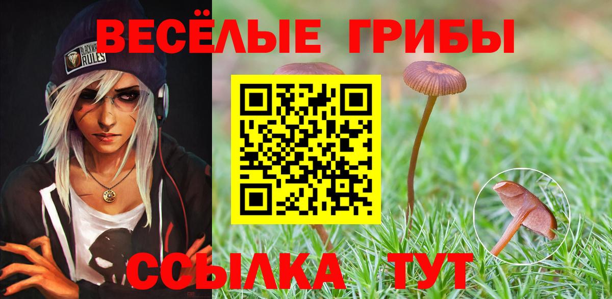 Псилоцибиновые грибы Psilocybe Лянтор